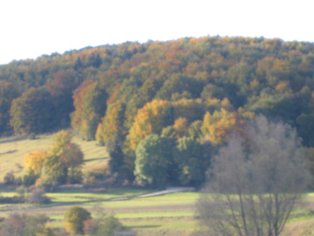Gasthof Zum Lamm Gomadingen Zewnętrze zdjęcie